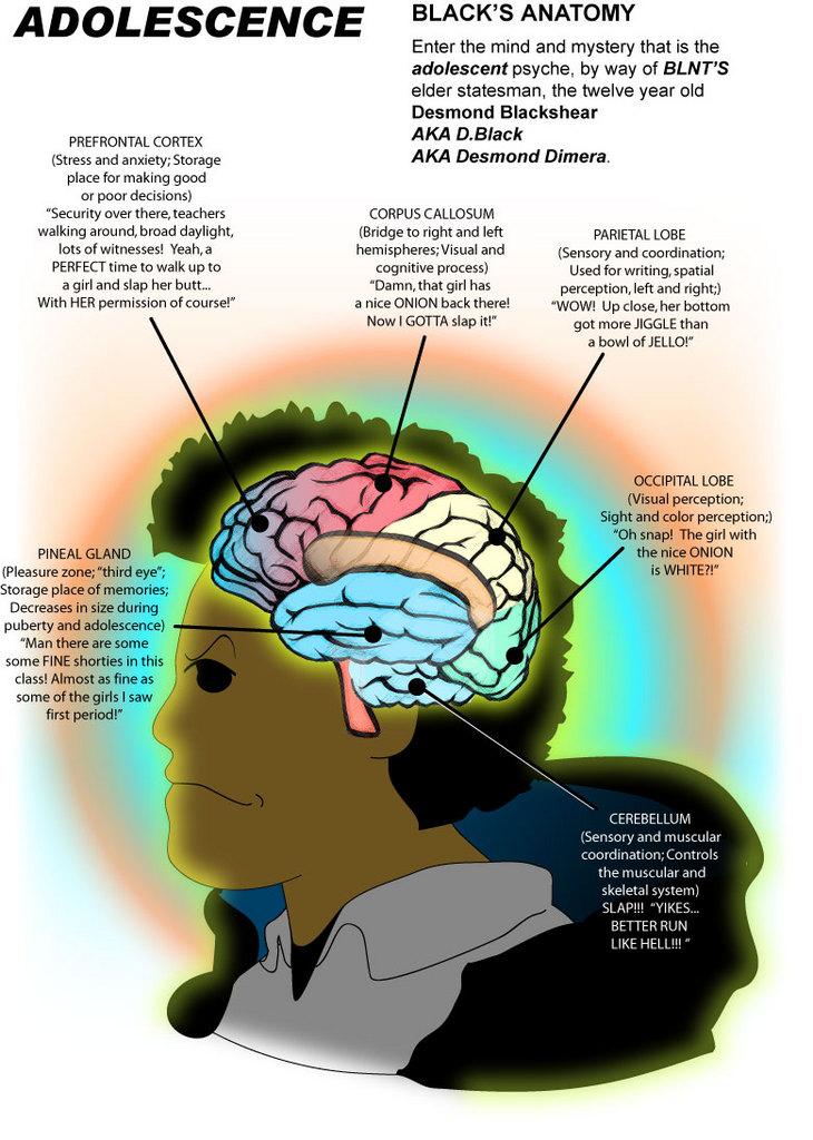 Research Profile: Adolescence