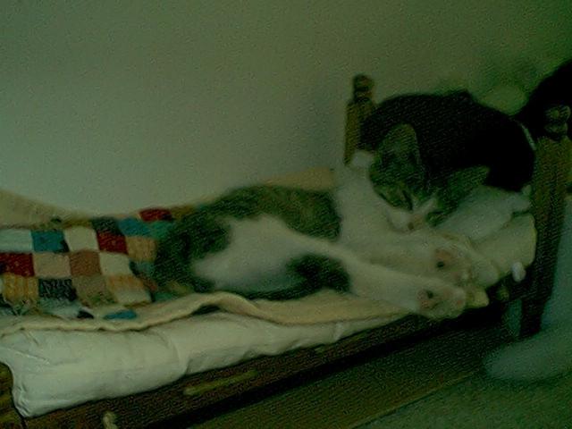 Asleep at the Switch -Sorry-