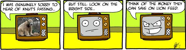 The bear necessities of death