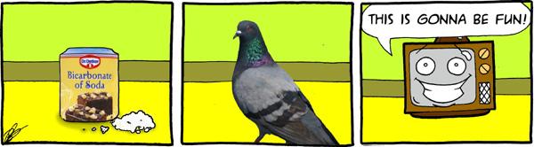 For the birds.