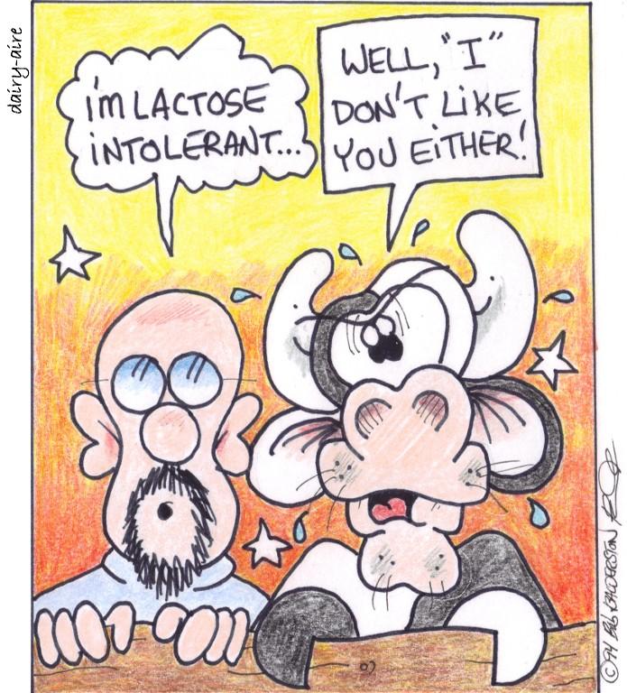 lactose intolerant