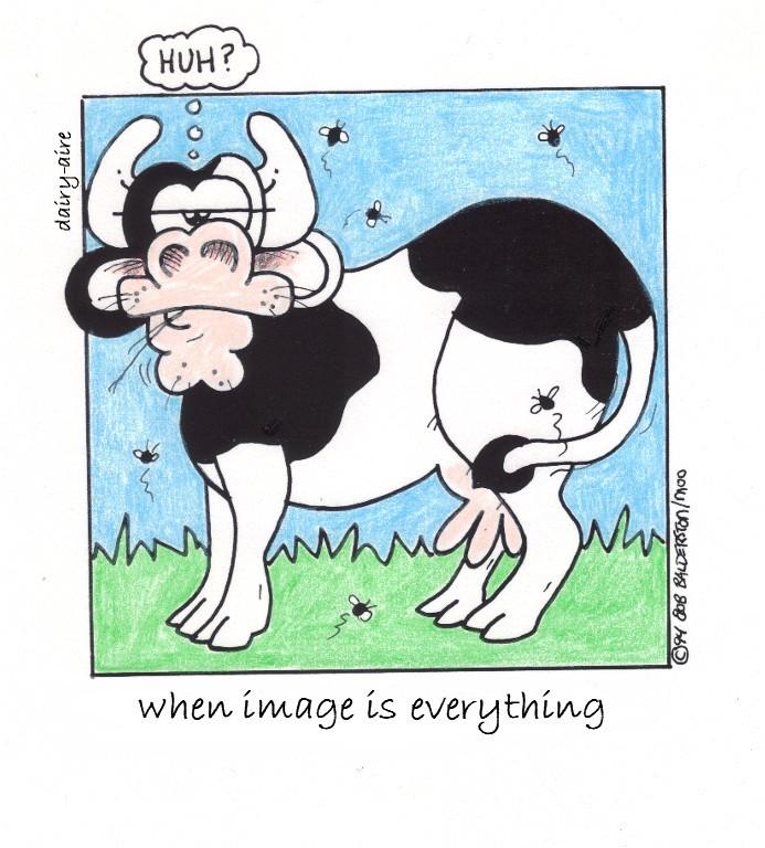 when image is everything