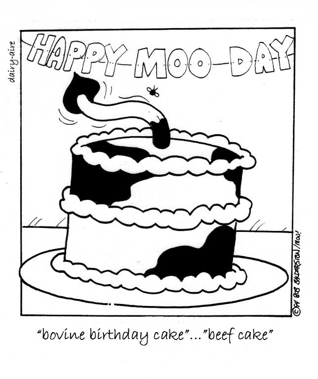 beef cake