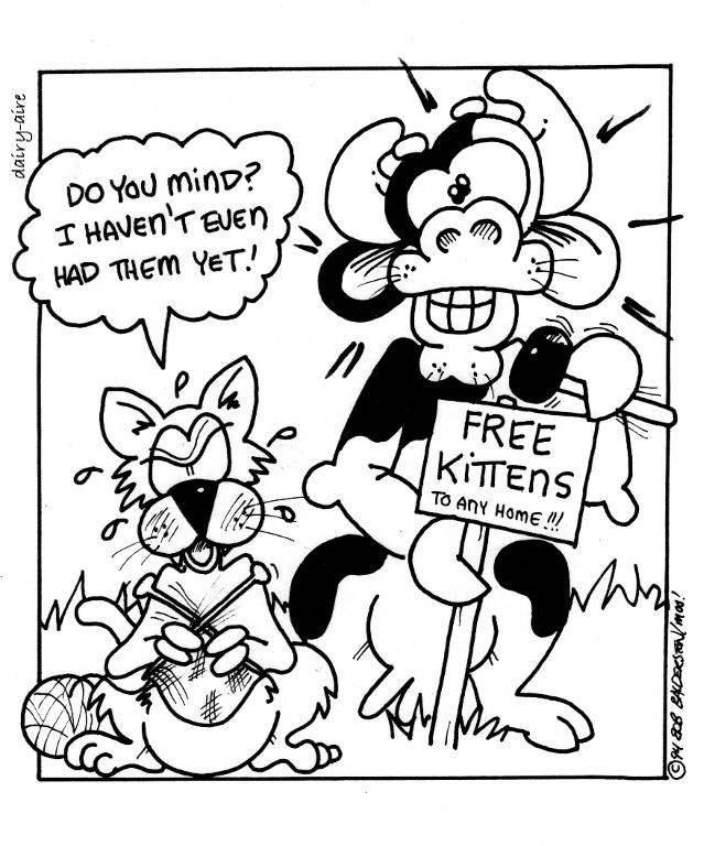 free kittens!