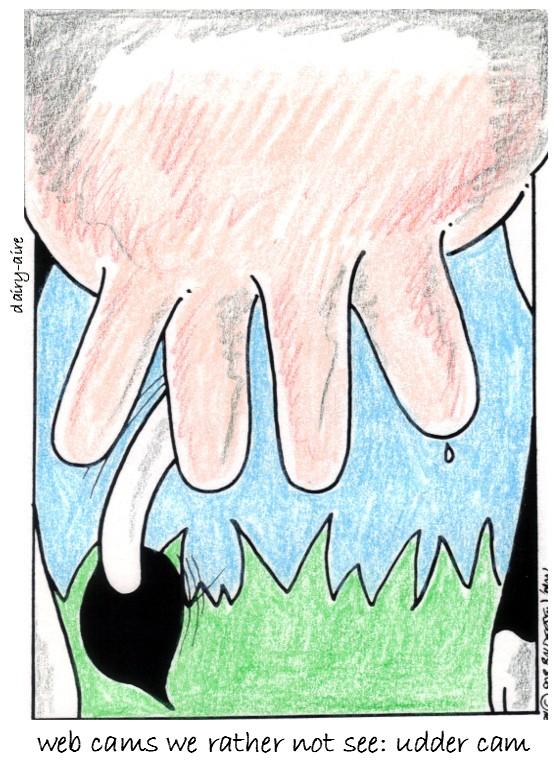 udder cam