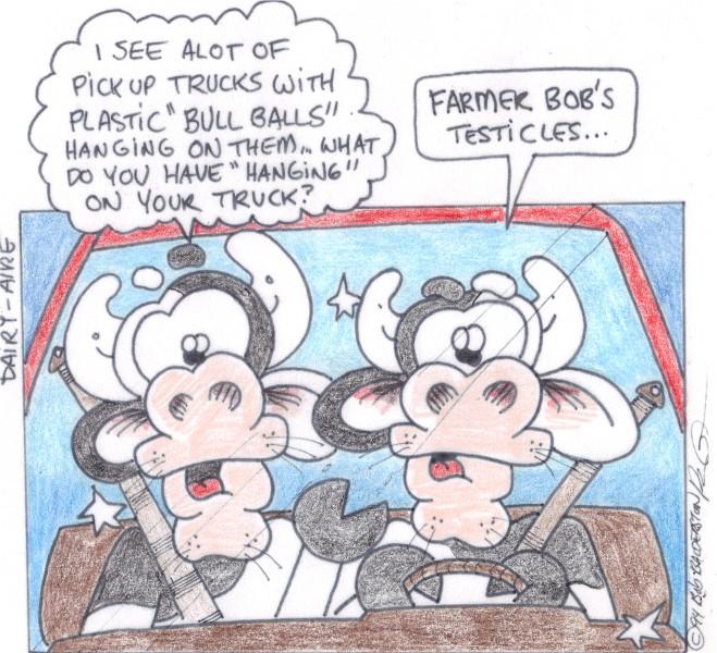 bull balls