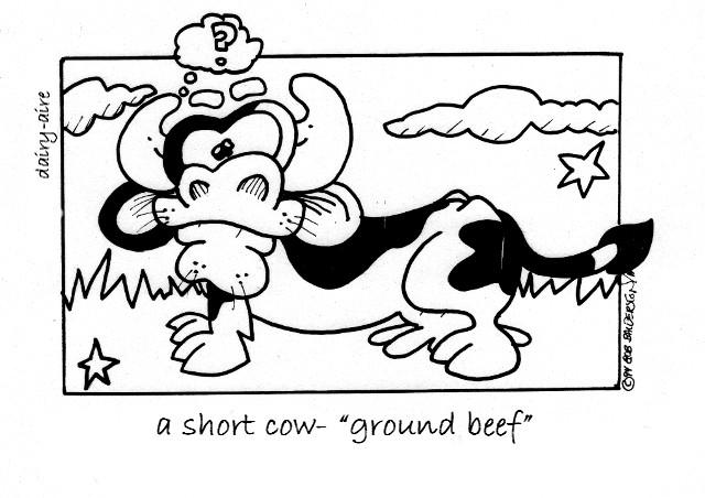 short cows