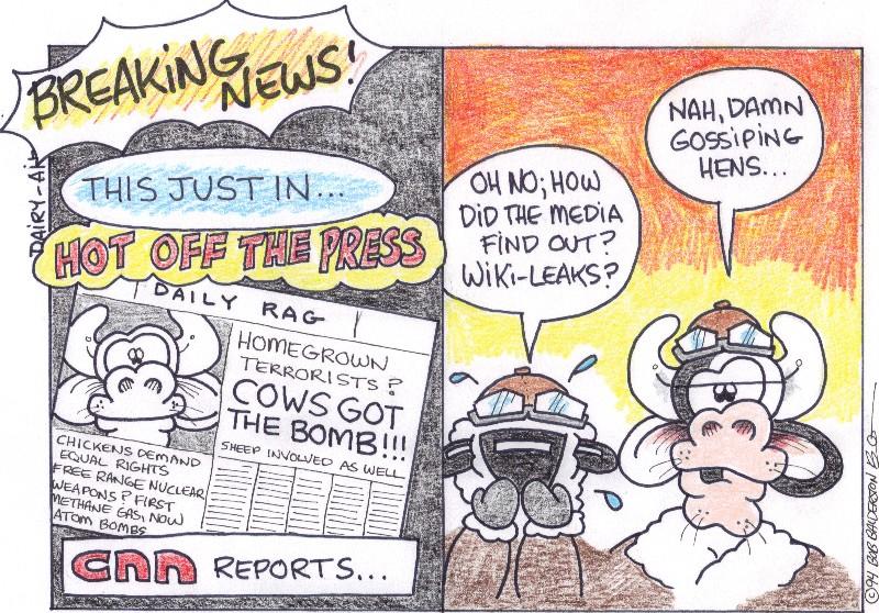 cnn reports