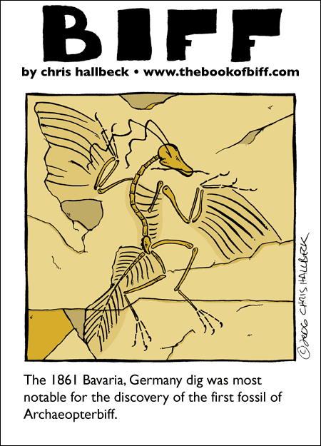 #146 - Fossil