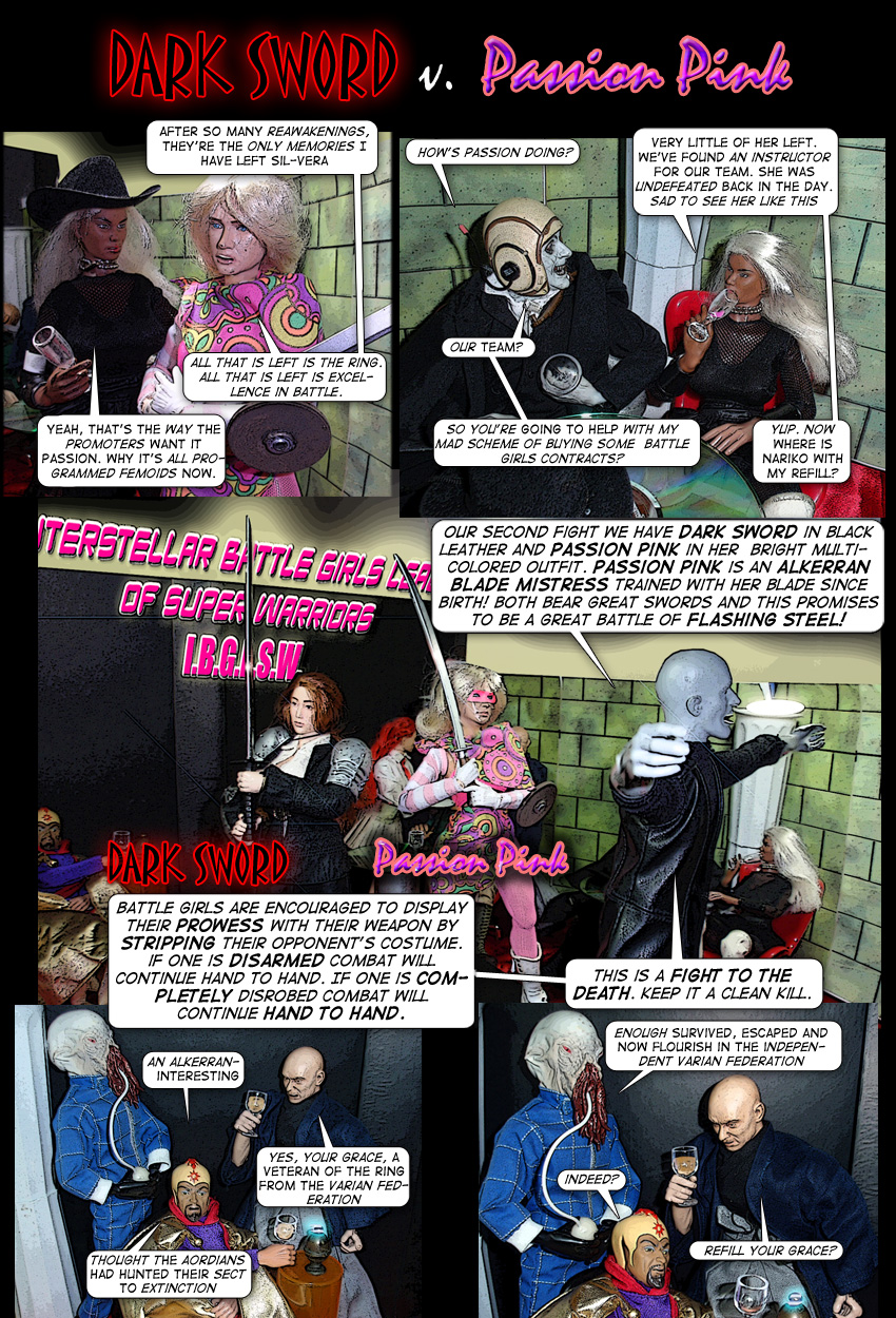 Bout 2: Dark Sword v. Passion Pink page 14