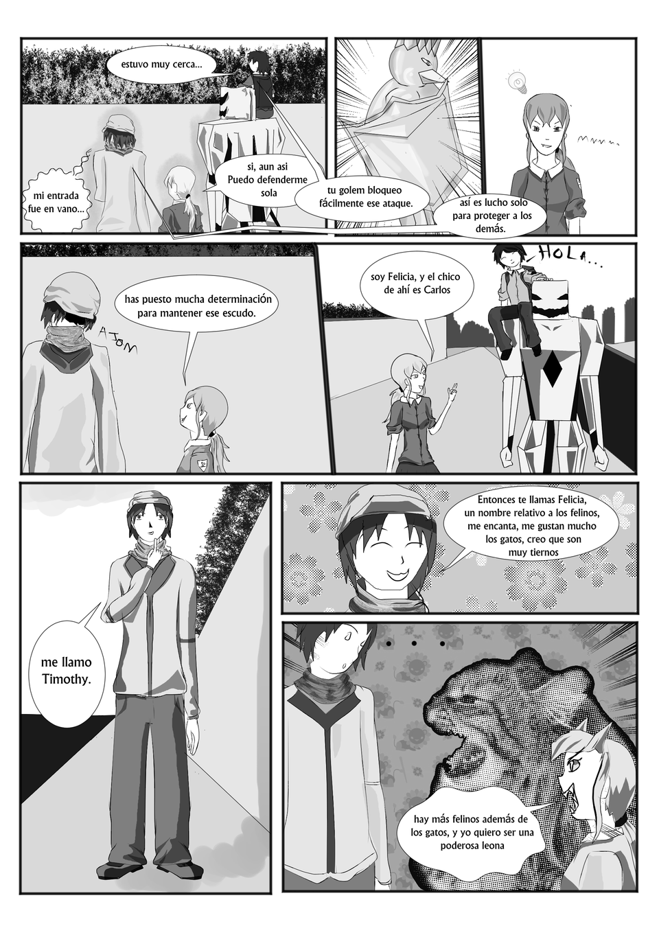 cap 2 pag 11