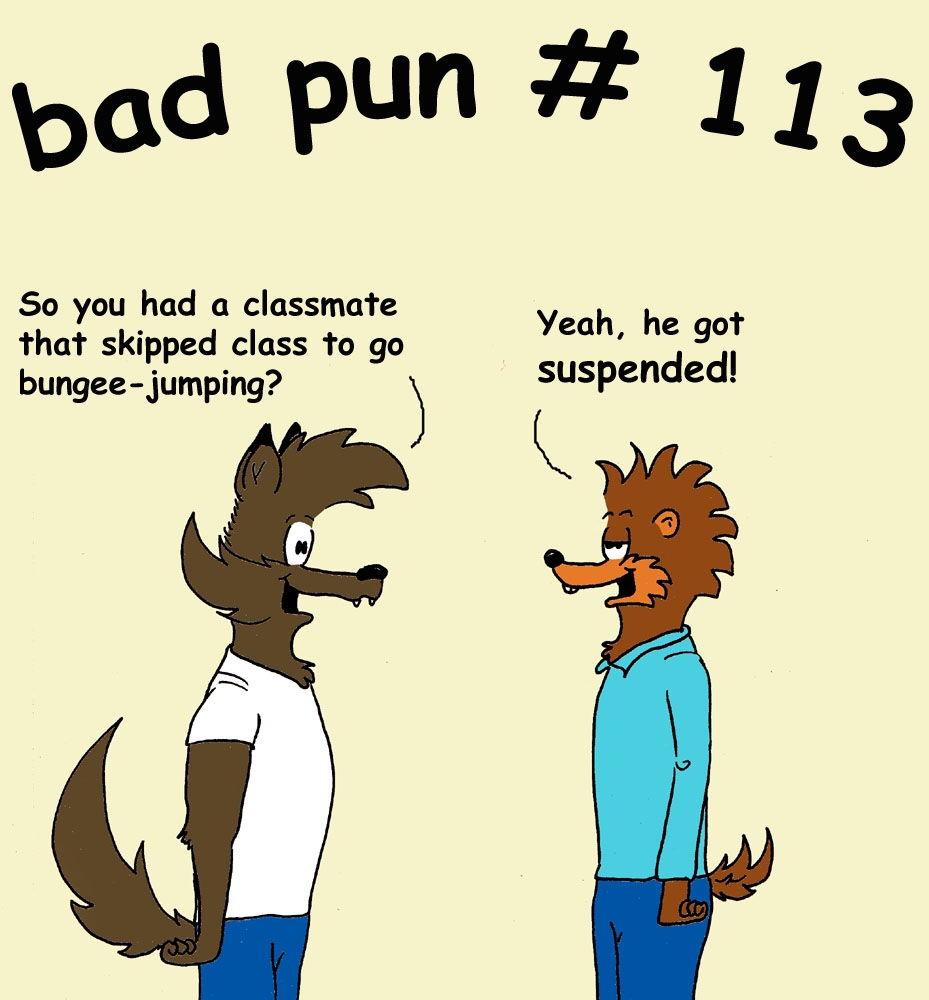 bad pun 113
