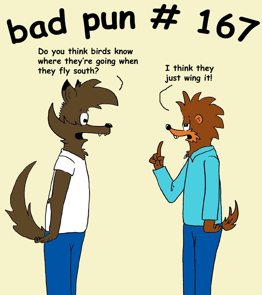 bad pun 167