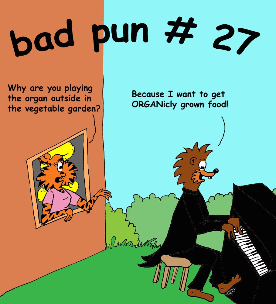 bad pun 27