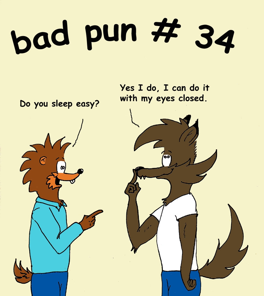bad pun 34