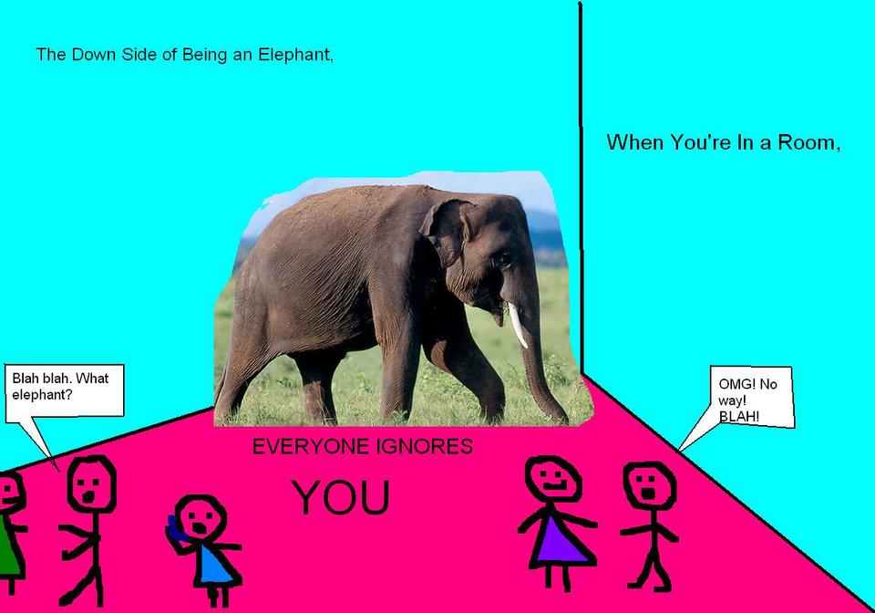 What Elephant?