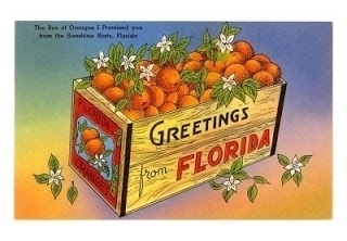 Florida Man Adventures