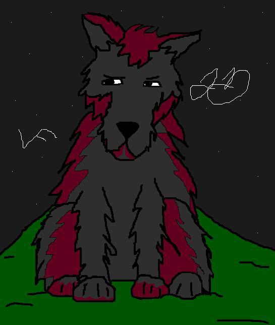 Red and Black Wolfie~!