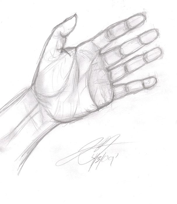 Hand Sketch