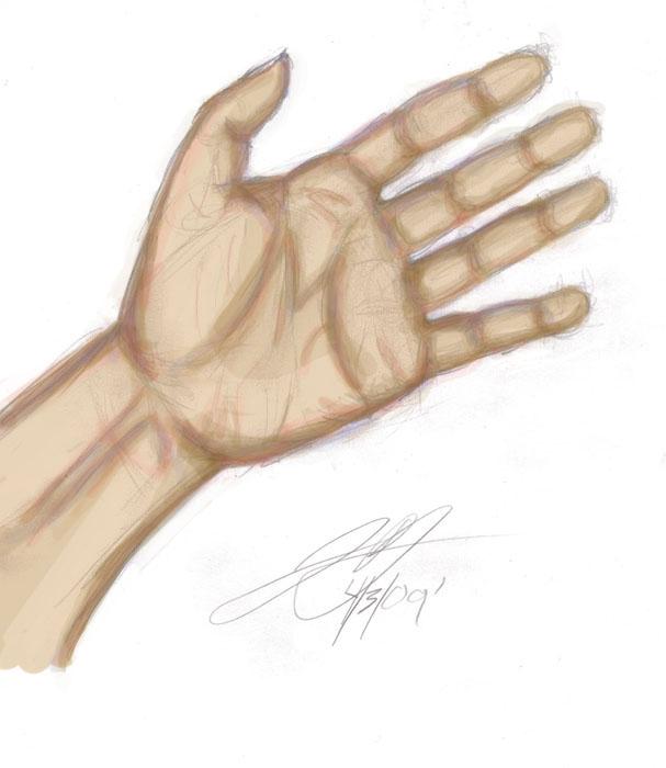 Colored Hand Sketch