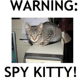 Spy Kitty!