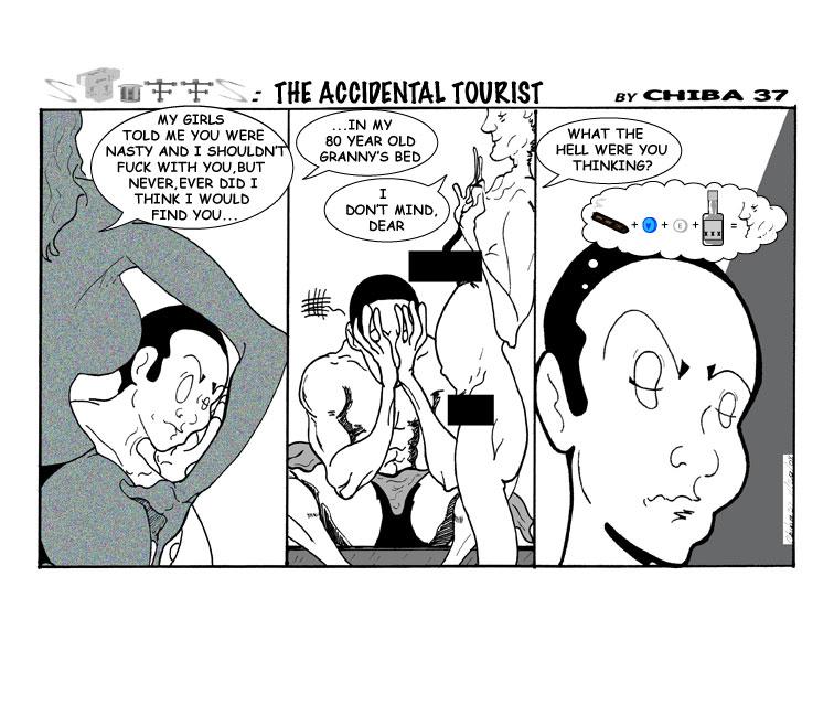 THE ACCIDENTAL TOURIST