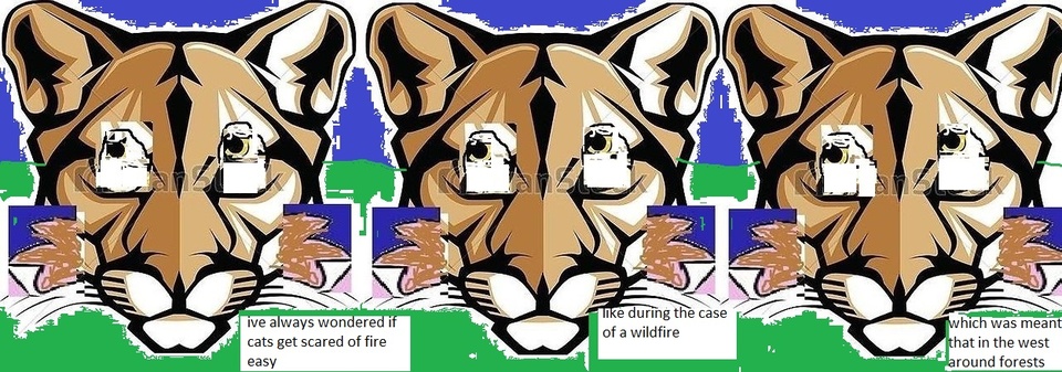 wild fires comic