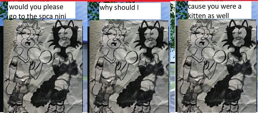 cici and nini at the spca