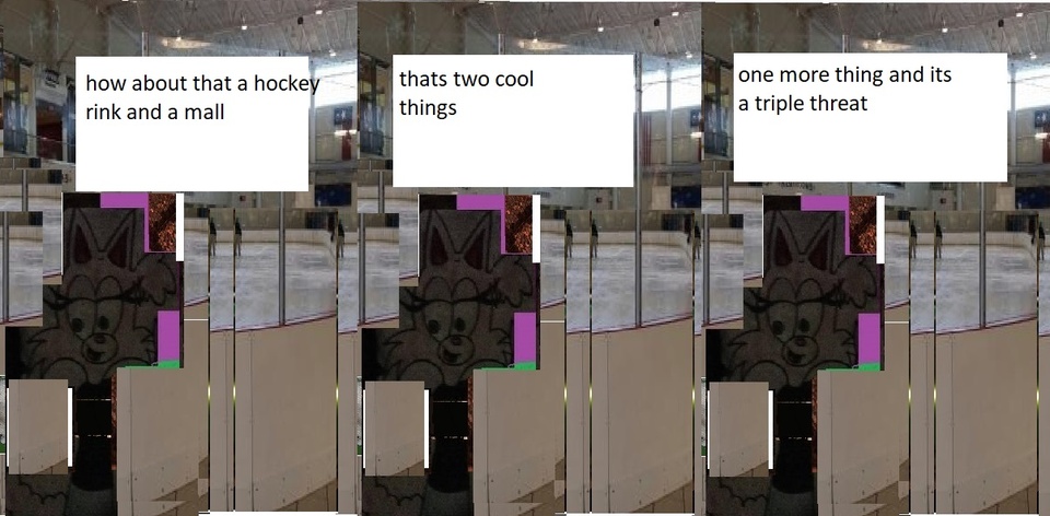 cici mall and hockey rink