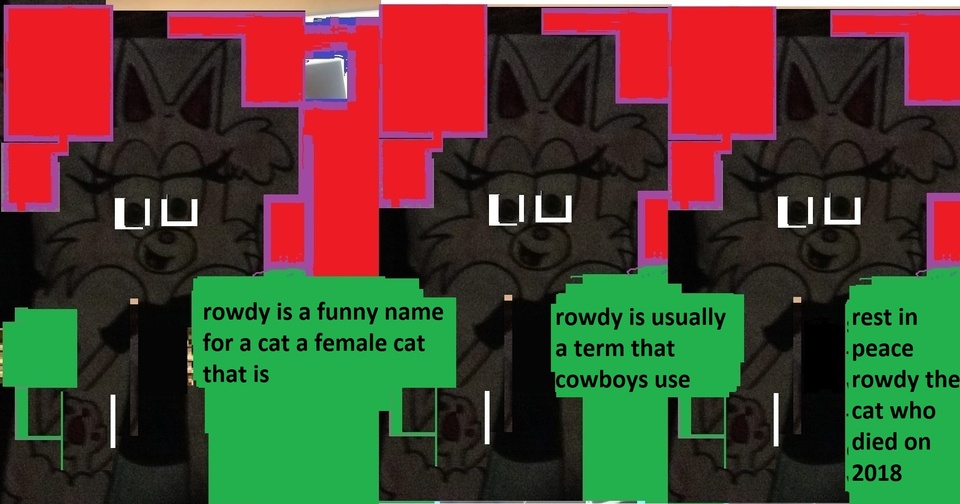 all about rowdy the cat