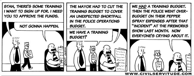 The Training Budget