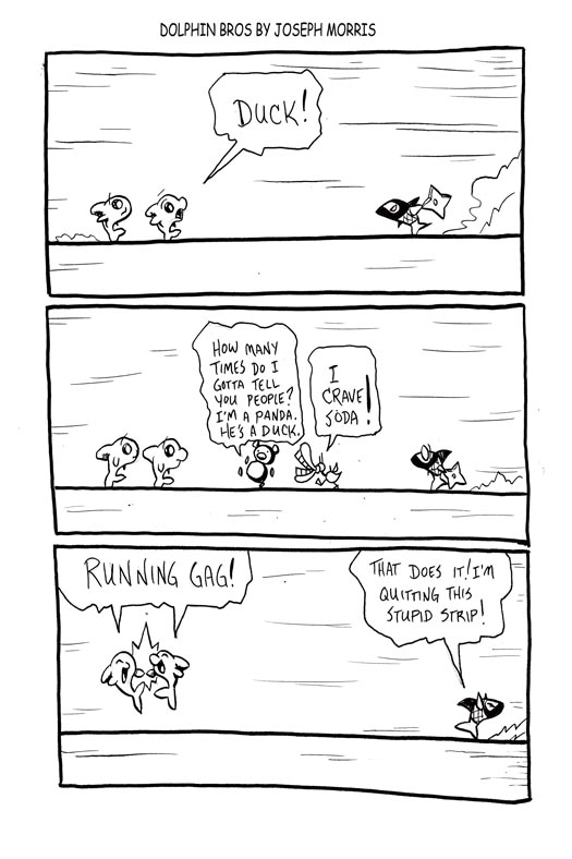 Dolphin Bros 35