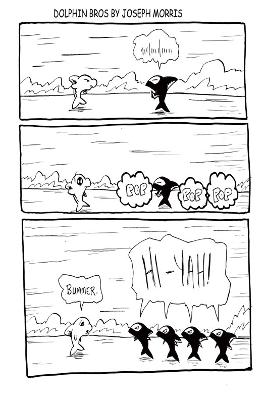 Dolphin Bros 33