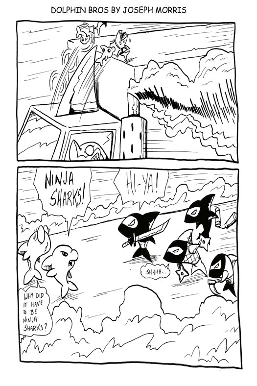 Dolphin Bros 30