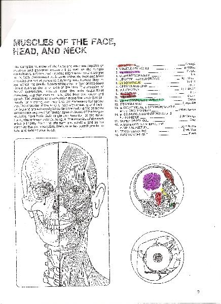 Cursed homework!