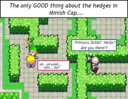 003: Behind the Hedges