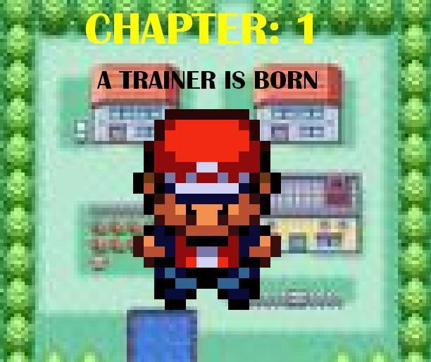 CHAPTER 1: a trainer is born