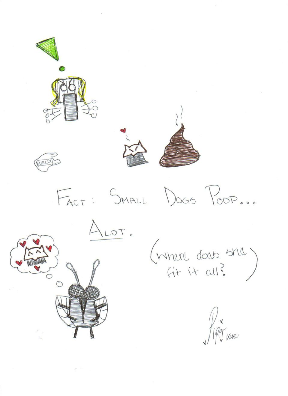 Poo filler