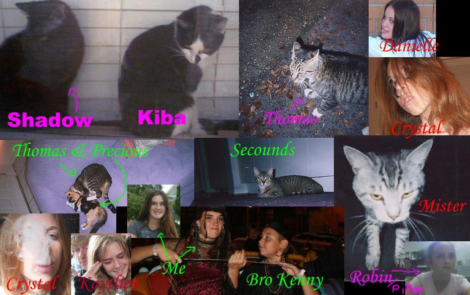 Pictures of me and friends
