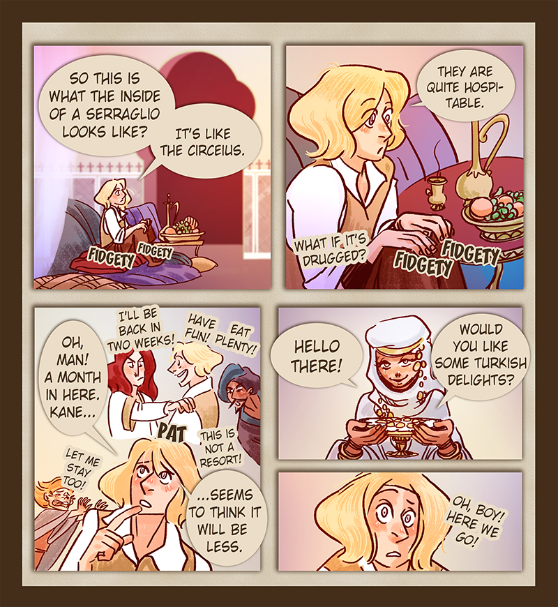 Abduction from the Serraglio - Page 17