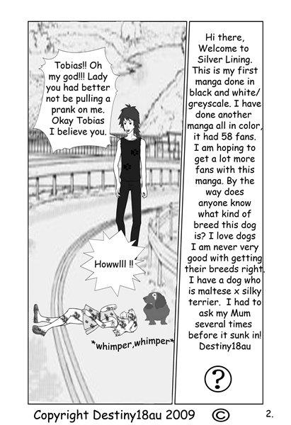 Silver Lining Book I - Page 2