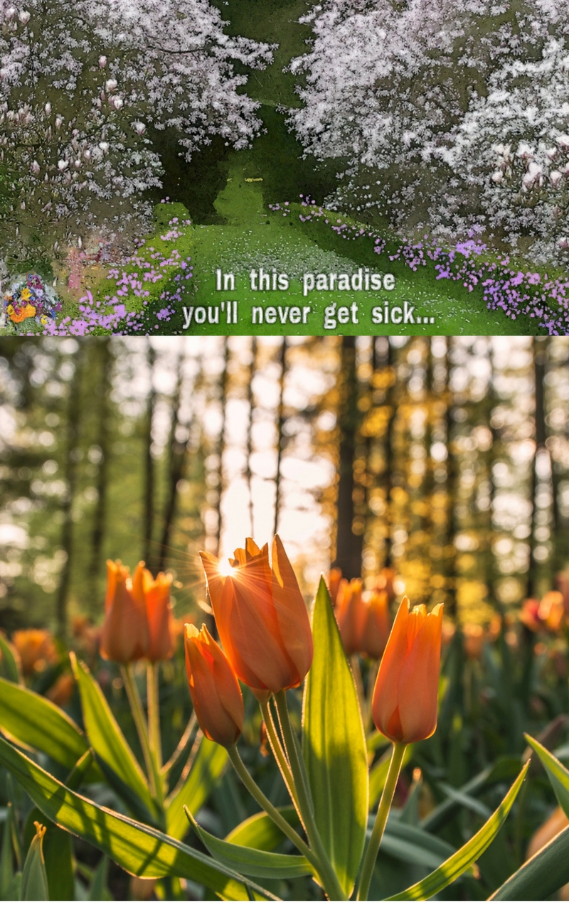 THE HIDING TYRANNOSAURUS REX  Chapter 1   Page 5