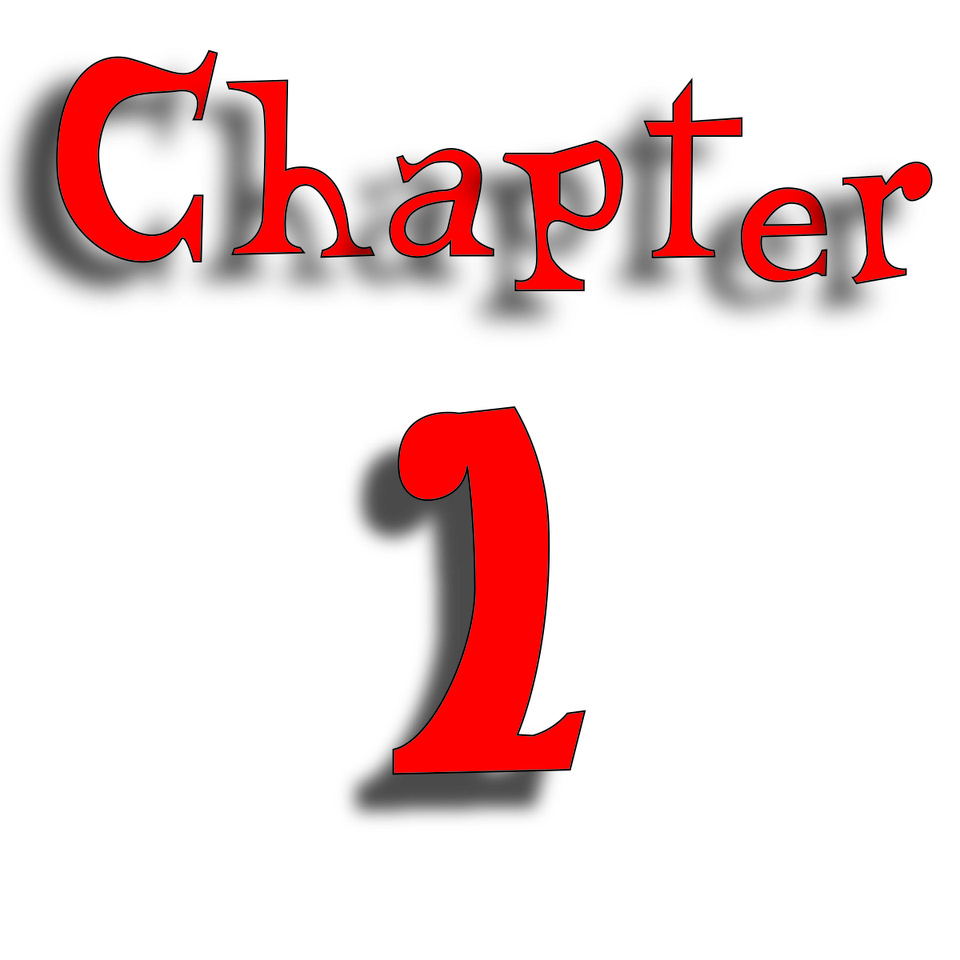 Chapter 1