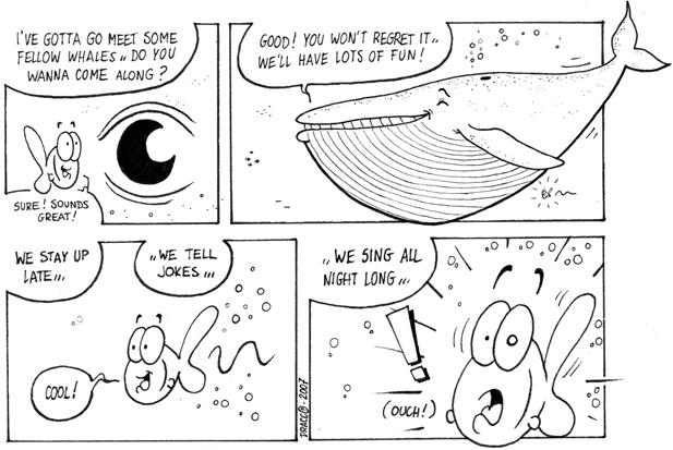 Fun with the whales