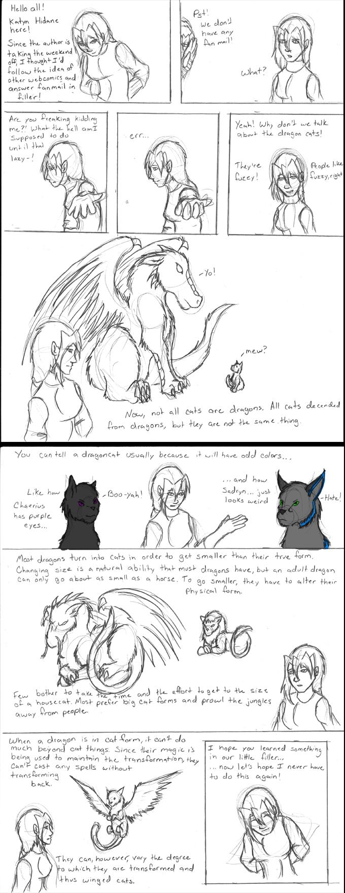 Dragoncats are fuzzy!