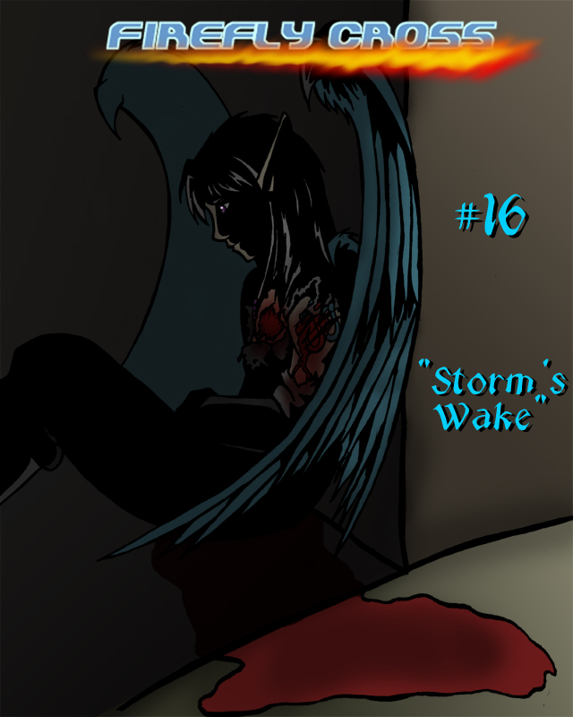 Cover 16 - Storm's Wake