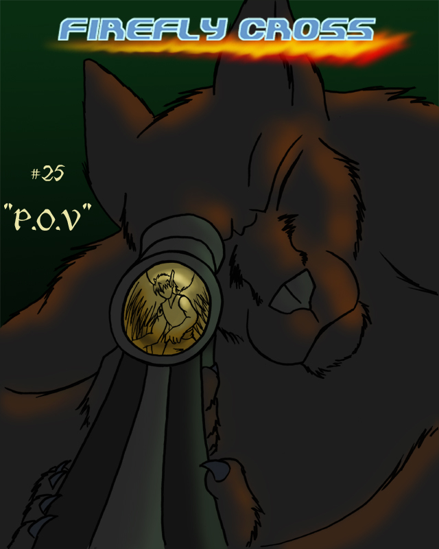 Cover 25: P.O.V.