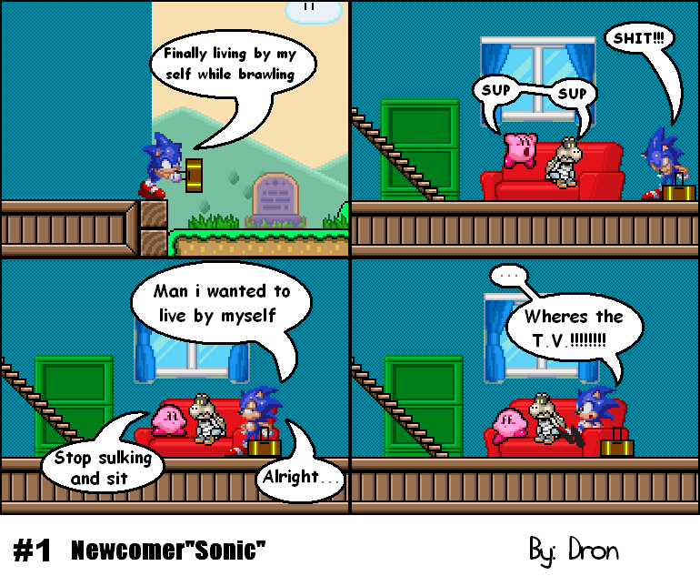 Newcomer Sonic!