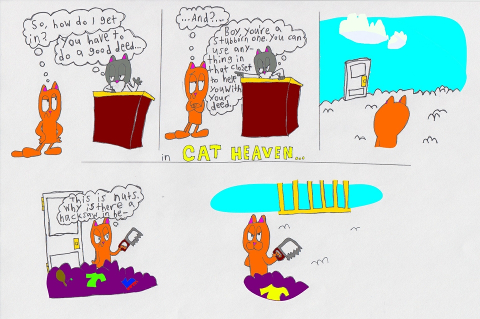 Tools + Devilish Cat = Bad Outcome