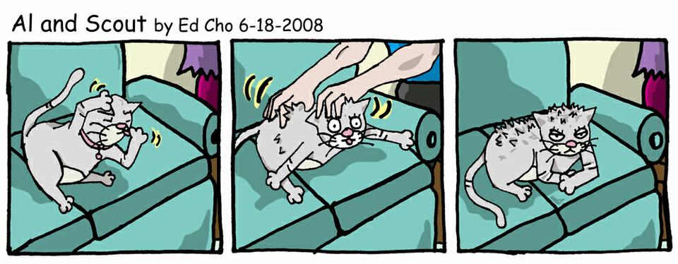 052 Grooming, Interrupted